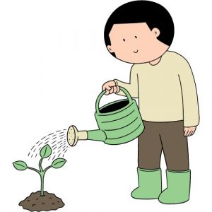 Dessin d'un jeune homme qui arrose une plante en souriant.