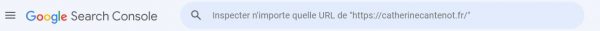 Le champ de recherche en haut de la Search Console, avec la mention : « Inspecter n'importe quelle url de [adresse du site] »